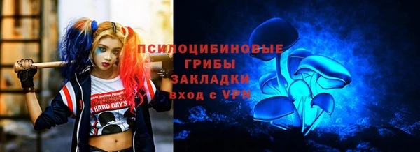 ешки Арсеньев