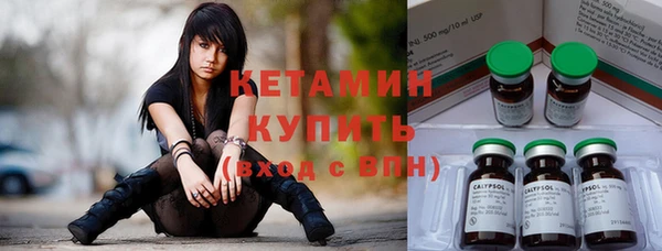 крисы Аркадак