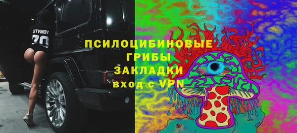 ешки Арсеньев