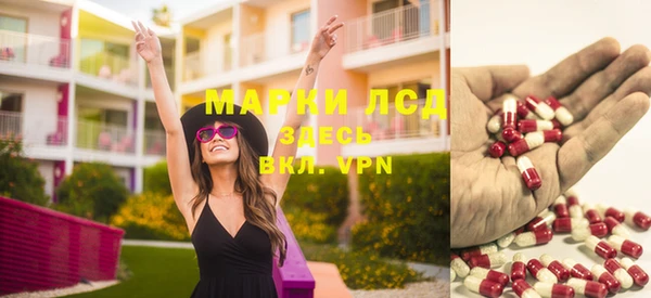 крисы Аркадак